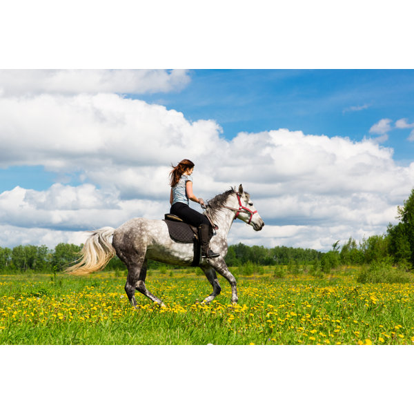 August Grove® Woman Riding On Horse Wayfair